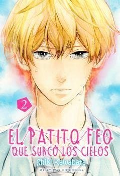 El patito feo que surcó los cielos 02