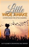 Little Wide Awake - A story book for little children (eBook, ePUB)