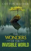 The Wonders of the Invisible World (eBook, ePUB)
