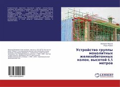 Cover Ustrojstwo gruppy monolitnyh zhelezobetonnyh kolon, wysotoj 6,5 metrow