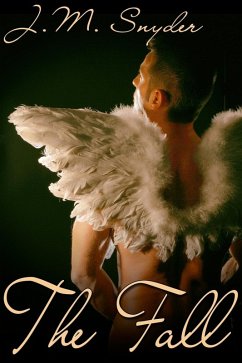 Cover Fall (eBook, ePUB)