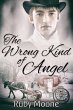 Wrong Kind of Angel (eBook, ePUB) - Bild 1