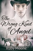 Wrong Kind of Angel (eBook, ePUB)