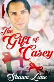 Gift of Casey (eBook, ePUB)