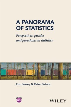 A Panorama of Statistics (eBook, PDF) - Sowey, Eric; Petocz, Peter