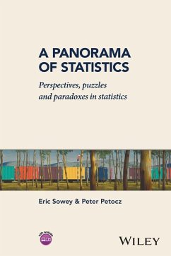 A Panorama of Statistics (eBook, ePUB) - Sowey, Eric; Petocz, Peter