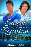 Sweet Reunion (eBook, ePUB)