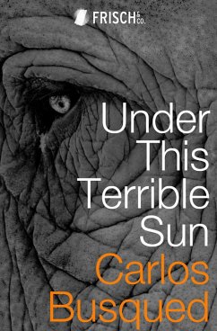 Cover Under This Terrible Sun (eBook, ePUB)