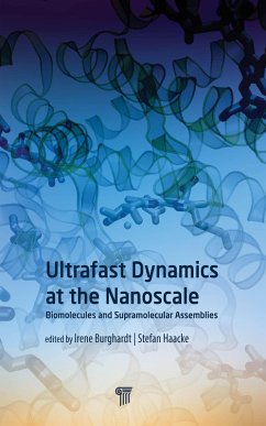 Cover Ultrafast Dynamics at the Nanoscale (eBook, PDF)