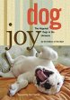 DogJoy (eBook, ePUB) - Bild 1