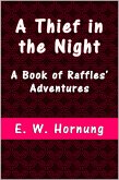 A Thief in the Night (eBook, ePUB)
