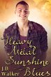 Heavy Metal Sunshine Blues (eBook, ePUB) - Bild 1