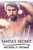 Santa's Secret (eBook, ePUB) Santa's Secret (eBook, ePUB)
