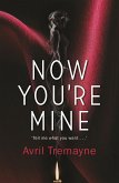 Now You're Mine (eBook, ePUB)