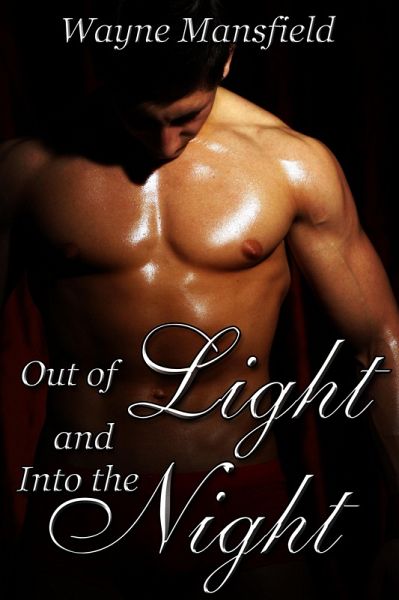 Out of Light and Into the Night (eBook, ePUB)
