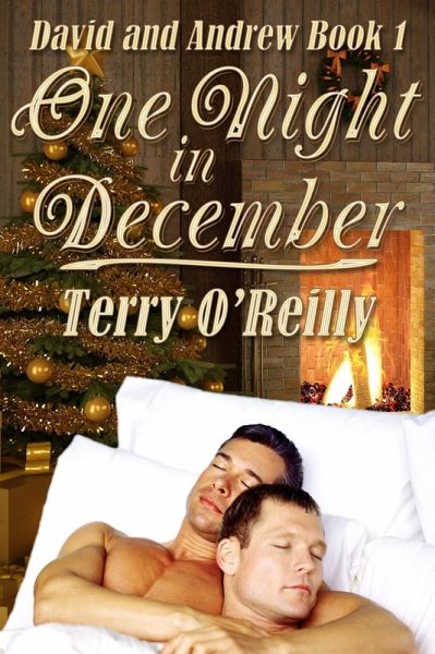 David and Andrew Book 1: One Night in December (eBook, ePUB) David and Andrew Book 1: One Night in December (eBook, ePUB)