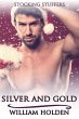 Silver and Gold (eBook, ePUB) - Bild 1
