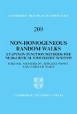 Non-homogeneous Random Walks (eBook, PDF)