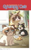 Misadventures Of Grumpy Cat And Pokey (eBook, ePUB)