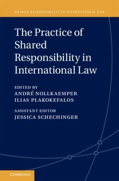 Cover Practice of Shared Responsibility in International Law (eBook, PDF)