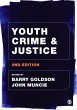 Youth Crime and Justice (eBook, PDF) - Bild 1