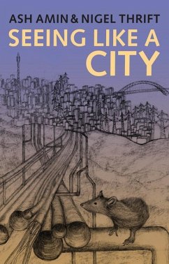 Seeing Like a City (eBook, ePUB) - Amin, Ash; Thrift, Nigel