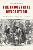 The Industrial Revolution (eBook, PDF)