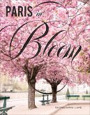 Paris in Bloom (eBook, ePUB)