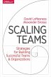 Scaling Teams (eBook, ePUB) - Bild 1