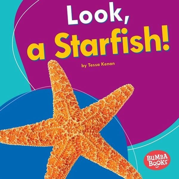 Look, a Starfish! (eBook, ePUB)