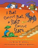 Bat Cannot Bat, a Stair Cannot Stare (eBook, ePUB)