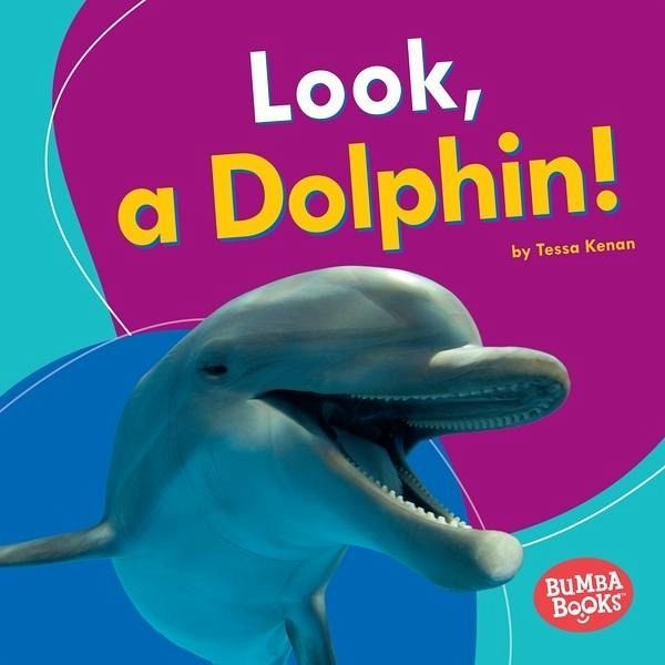 Look, a Dolphin! (eBook, ePUB)