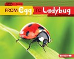 From Egg to Ladybug (eBook, ePUB) From Egg to Ladybug (eBook, ePUB)