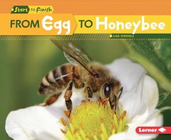 From Egg to Honeybee (eBook, ePUB) - Owings, Lisa