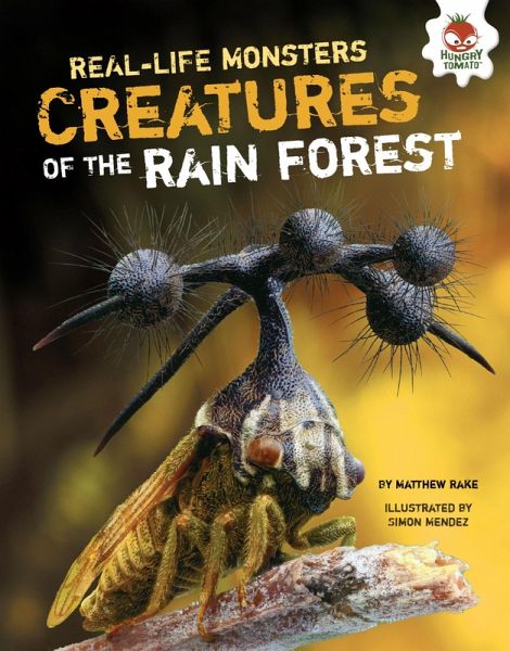 Creatures of the Rain Forest (eBook, ePUB)