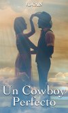 Un Cowboy Perfecto (eBook, ePUB)