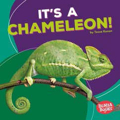 Cover It's a Chameleon! (eBook, ePUB)