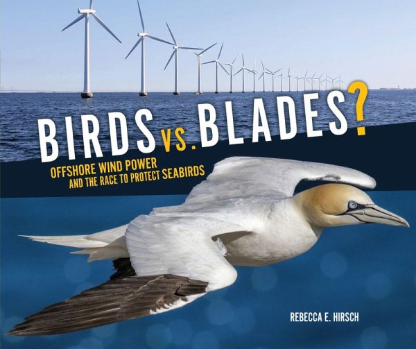 Birds vs. Blades? (eBook, ePUB) Birds vs. Blades? (eBook, ePUB)