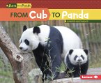 From Cub to Panda (eBook, ePUB)