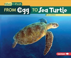 Cover From Egg to Sea Turtle (eBook, ePUB)