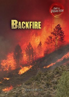 Cover Backfire (eBook, ePUB)