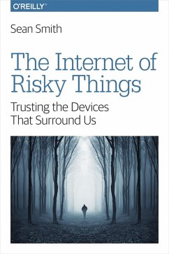 Cover Internet of Risky Things (eBook, ePUB)