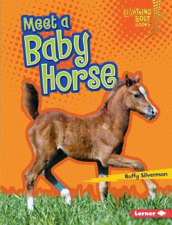 Meet a Baby Horse (eBook, ePUB) - Silverman, Buffy