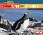 From Egg to Penguin (eBook, ePUB)