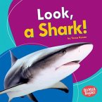 Look, a Shark! (eBook, ePUB)