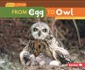 From Egg to Owl (eBook, ePUB) - Bild 1
