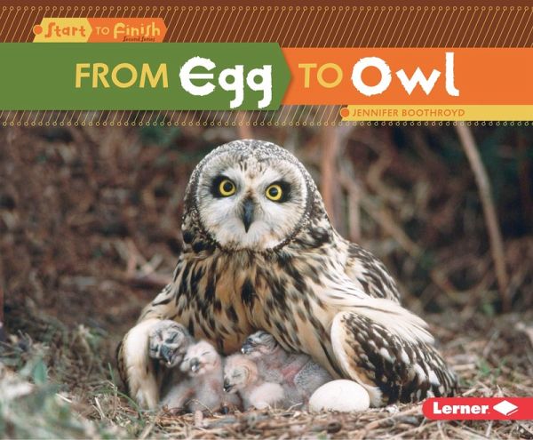 From Egg to Owl (eBook, ePUB) From Egg to Owl (eBook, ePUB)
