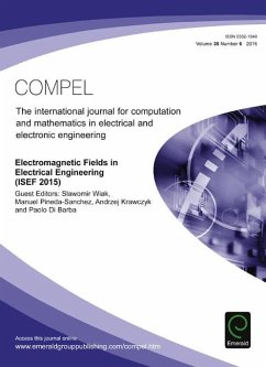Cover Electromagnetic Fields in Electrical Engineering (ISEF 2015) (eBook, PDF)