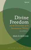 Divine Freedom and the Doctrine of the Immanent Trinity (eBook, PDF)