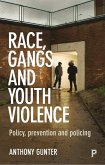 Race, Gangs and Youth Violence (eBook, ePUB)